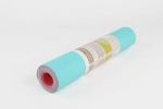 2 Tone TPE Premium Yoga Mat Eco Friendly